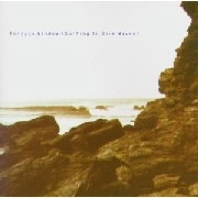 POLYGON WINDOW / ポリゴン・ウィンドウ / SURFING ON SINE WAVES