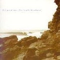 POLYGON WINDOW / ポリゴン・ウィンドウ / SURFING ON SINE WAVES