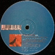 WISHMOUNTAIN   / RADIO