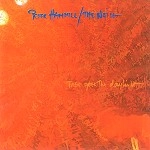 PETER HAMMILL / ピーター・ハミル / THERE GOES THE DAYLIGHT