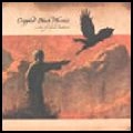 CRIPPLED BLACK PHOENIX / クリップルド・ブラック・フェニックス / LOVE OF SHARED DISASTERS