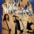 WAYSTED / ウェイステッド / HARSH REALITY