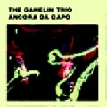 GANELIN TRIO / ガネリン・トリオ / ANCORA DA CAPO