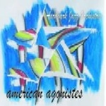 AARDVARK JAZZ ORCHESTRA / AMERICAN AGONISTES