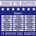 V.A.(SOUND OF THE GRAPEVINE) / SOUND OF THE GRAPEVINE-24 MODERN SOUL DANC