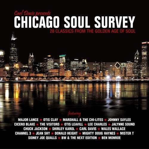V.A.(CHICAGO SOUL SURVEY) / CHICAGO SOUL SURVEY
