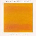 ROBERT FRIPP / ロバート・フリップ / THAT WHICH PASSES 1995 SOUNDSCAPES VOL.3