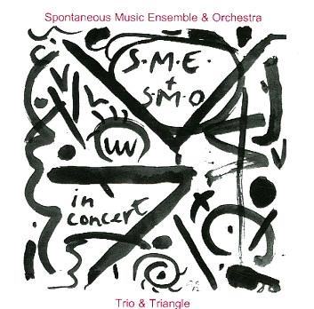 SPONTANEOUS MUSIC ENSEMBLE / スポンティニアス・ミュージック・アンサンブル / TRIO & TRIANGLE