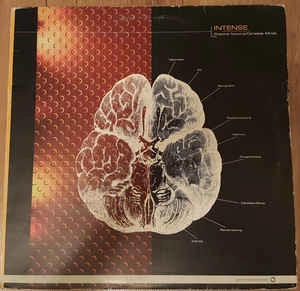 INTENSE (DRUM&BASS) / POSITIVE NOTIONS / CARELESS MINDS