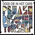 DOGS DIE IN HOT CARS / ドッグス・ダイ・イン・ホット・カーズ / PLEASE DESCRIBE YOURSELF