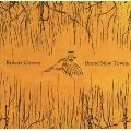ROBERT GOMEZ / ロバート・ゴメス / BRAND NEW TOWNS