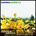 CARIBOU / カリブー / ANDORRA