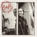 RAY DAVIES / レイ・デイヴィス / WORKING MAN'S CAFE