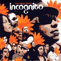 INCOGNITO / インコグニート / BEES + THINGS + FLOWERS