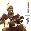 ANTHONY DAVID / アンソニー・デヴィッド / 3 CHORDS & THE TRUTH