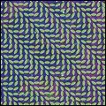 ANIMAL COLLECTIVE / アニマル・コレクティヴ / MERRIWEATHER POST PAVILION