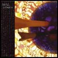 ANIMAL COLLECTIVE / アニマル・コレクティヴ / PEACEBONE