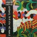 LIQUID LIQUID / リキッド・リキッド / LIQUID LIQUID REMIXES(OPTIMO/THE LOVING HA
