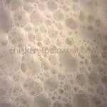 CHICKEN LIPS / チキン・リップス / SWEET COW