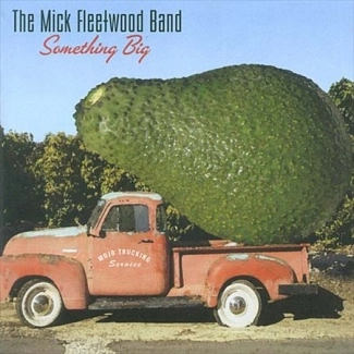 MICK FLEETWOOD / ミック・フリートウッド / SOMETHING BIG