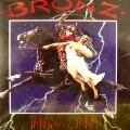 BRONZ / ブロンズ / TAKEN BY STORM