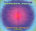 TANGERINE DREAM / タンジェリン･ドリーム / JOURNEY THROUGH A BURNING BRAIN(ANTHOLOGY)