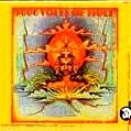 JOHN HOLT / ジョン・ホルト / 3000 VOLTS OF HOLT