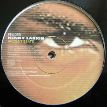 KENNY LARKIN / ケニーラーキン / ANCIENT BEATS