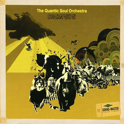 QUANTIC SOUL ORCHESTRA / クアンティック・ソウル・オーケストラ / STAMPEDE