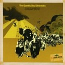 QUANTIC SOUL ORCHESTRA / クアンティック・ソウル・オーケストラ / STAMPEDE