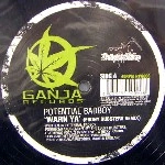 POTENTIAL BADBOY / WARN YA(EBONY DUBSTERS REMIX)