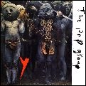 POP GROUP / ポップ・グループ / Y (REMASTERD & EXPANDED)