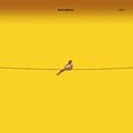 AARON LIGHTMAN / アーロン・ライトマン / AARON LIGHTMAN