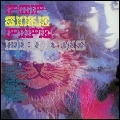 V.A. (PSYCHE) / POP-SIKE PIPE-DREAMS RUBBLE VOL.2