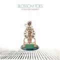 BLOSSOM TOES / ブロッサム・トウズ / IF ONLY FOR A MOMENT