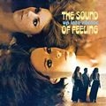 SOUND OF FEELING / サウンド・オブ・フィーリング / UP INTO SILENCE