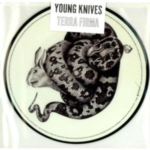 YOUNG KNIVES / ヤング・ナイヴズ / TERRA FIRMA-1ST