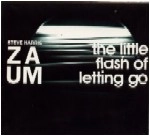 STEVE HARRIS(DRUM) / スティーブ・ハリス / LITTLE FLASH OF LETTING GO