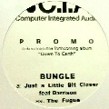BUNGLE / JUST A LITTLE BIT CLOSER(PROMO)