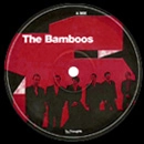 BAMBOOS / バンブーズ / I DON'T WANNA STOP FEAT.KYLIE AULDIST(MARC