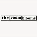 VOOM BLOOMS / ブーム・ブルームズ / ANNA