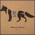 V.A./ Rock (UK&EU) / WILLKOMMEN COLLECTIVE - VOL.1