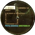 TERRENCE DIXON / テレンス・ディクソン / DIRECTIONS