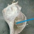 SNOWFIGHT / LISTEN