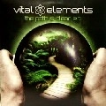 VITAL ELEMENTS / PATH IS CLEAR