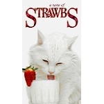 STRAWBS / ストローブス / A TASTE OF STRAWBS