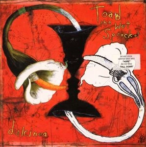 TOAD THE WET SPROCKET / トード・ザ・ウェット・スプロケット / DULCINEA