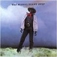 TAJ MAHAL / タジ・マハール / GIANT STEPS + DE OLD FOLKS AT HOME (2 ON 1)