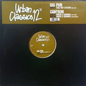 BIG PUN (BIG PUNISHER) / ビッグ・パン / STILL NOT A PLAYER - LIMITED