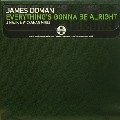 JAMES DOMAN / EVERYTHING'S GONNA BE ALRIGHT(J MAJIK & WI